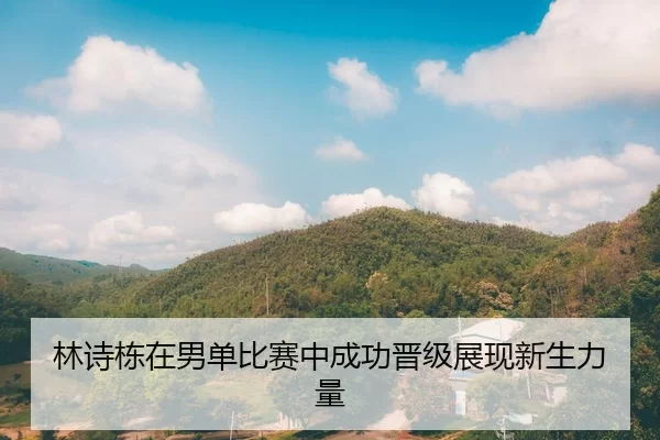 林诗栋在男单比赛中成功晋级展现新生力量