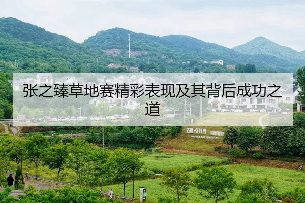 张之臻草地赛精彩表现及其背后成功之道
